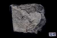石灰岩藏品圖，第7張